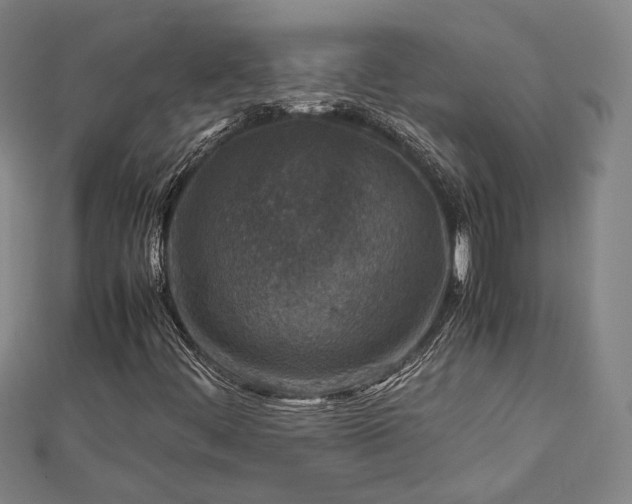 X0000112731444200909031434