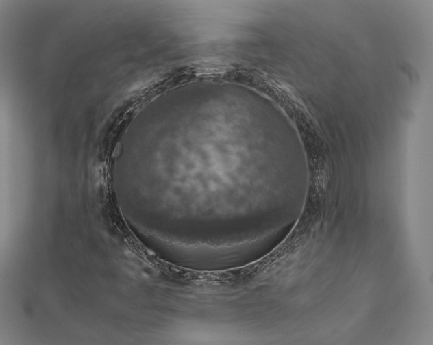 X0000112731445200909031434