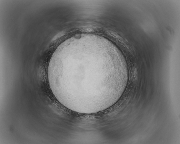 X0000112731446200909031434