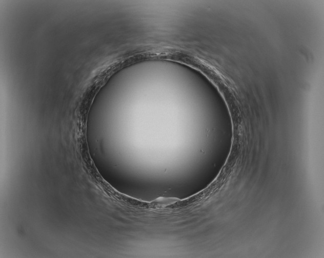 X0000112731447200909031434