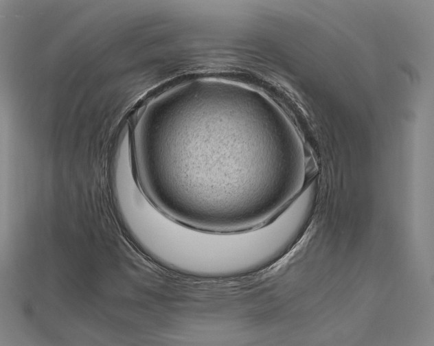 X0000112731449200909031434