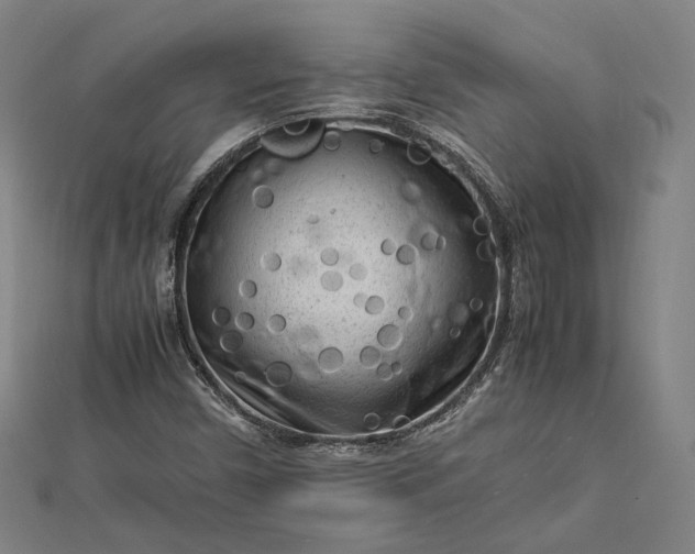 X0000112731450200909031434