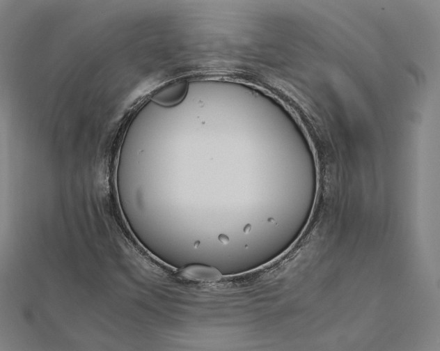 X0000112731451200909031434