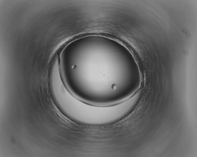 X0000112731452200909031434