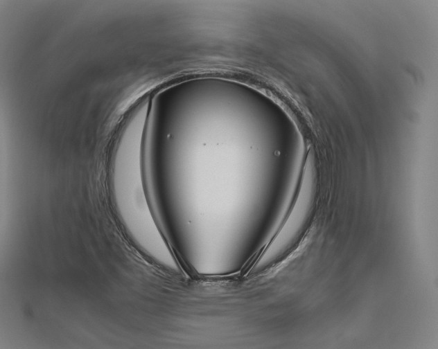 X0000112731453200909031434