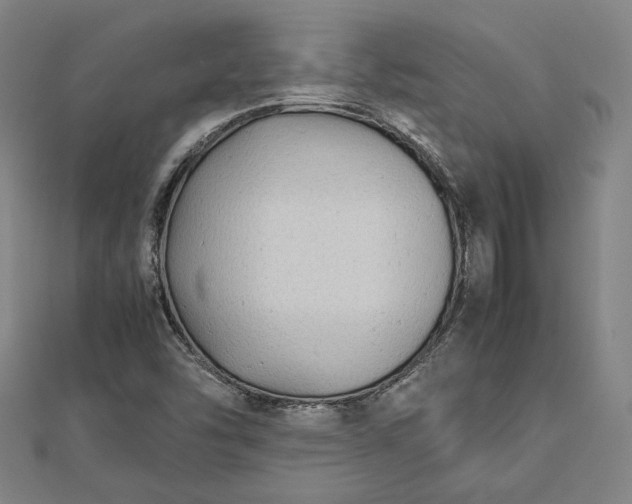 X0000112731454200909031434