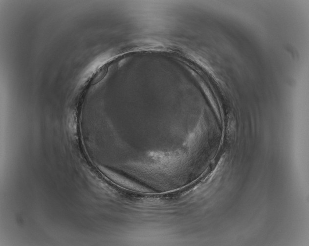 X0000112731455200909031434