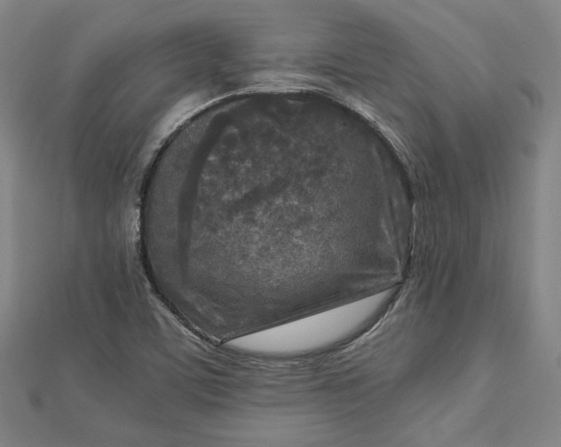 X0000112731459200909031434