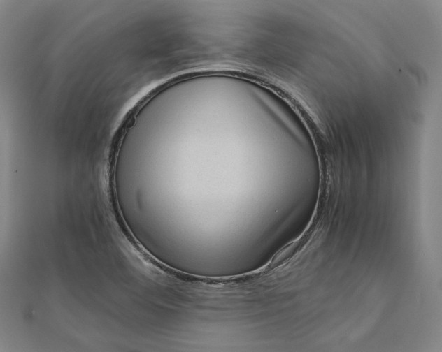 X0000112731460200909031434