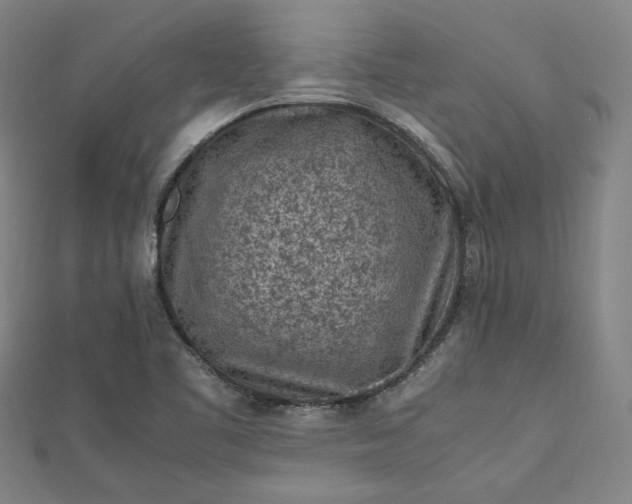 X0000112731461200909031434