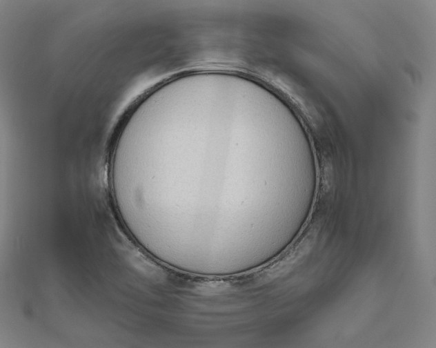 X0000112731462200909031434