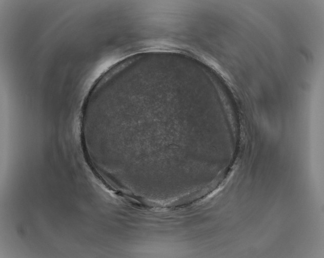 X0000112731463200909031434