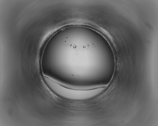 X0000112731464200909031434