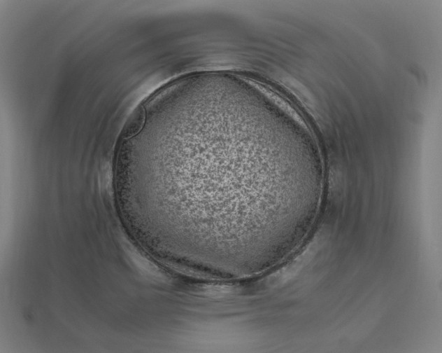 X0000112731465200909031434