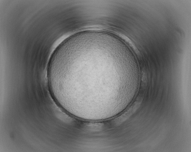 X0000112731466200909031434