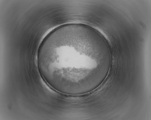 X0000112731468200909031434