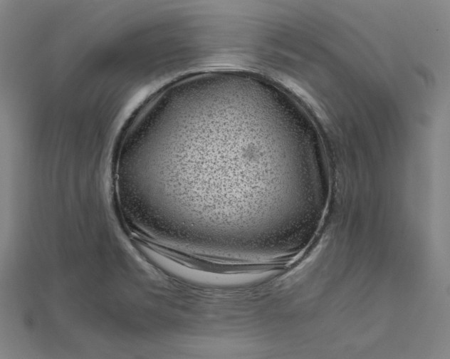 X0000112731469200909031434