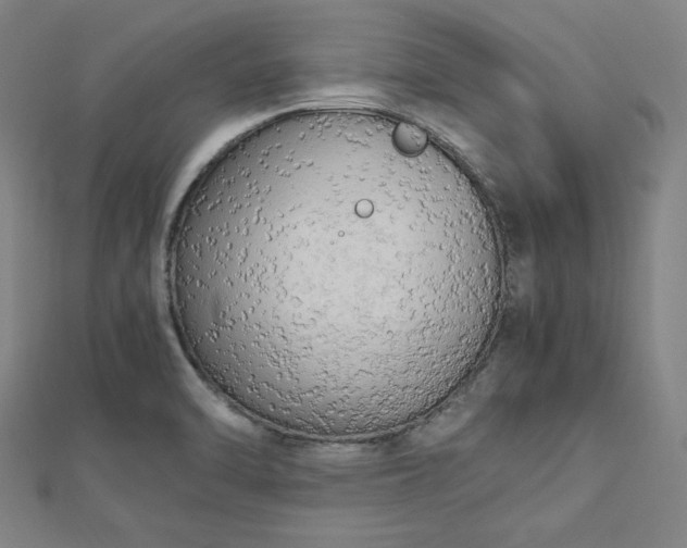 X0000112731470200909031434