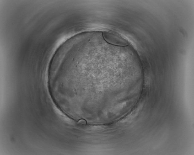 X0000112731471200909031434