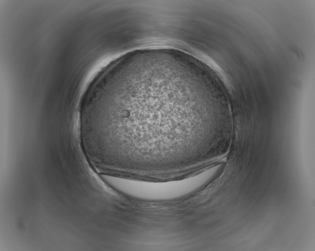 X0000112731472200909031434