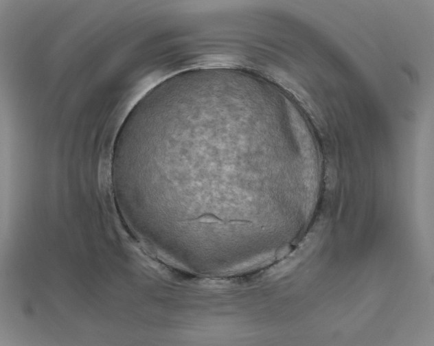 X0000112731473200909031434