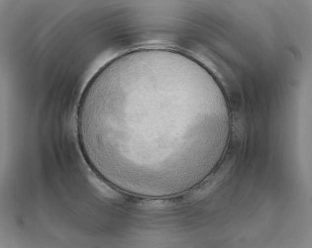 X0000112731474200909031434