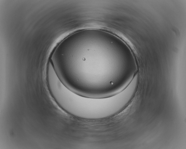 X0000112731477200909031434