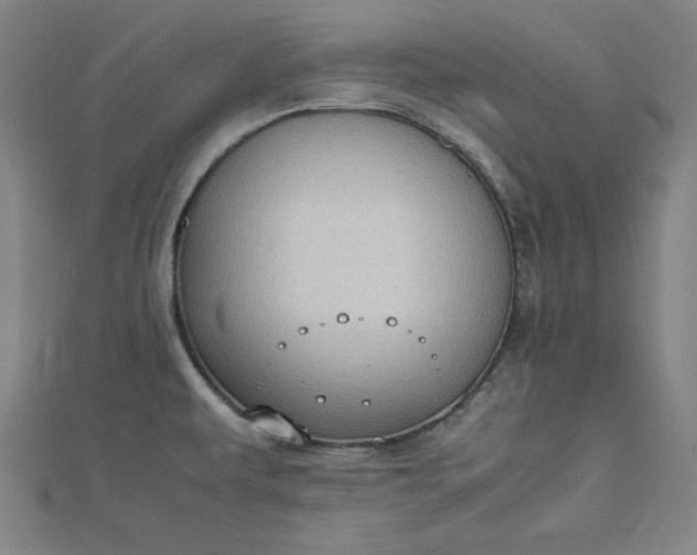 X0000112731479200909031434