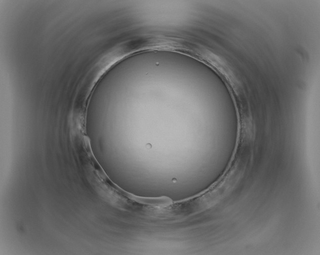 X0000112731481200909031434