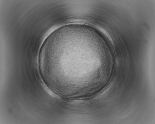 X0000112731482200909031434