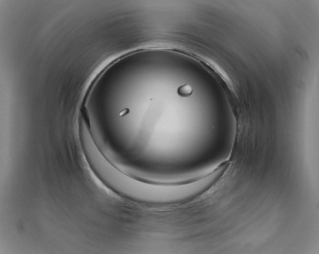 X0000112731484200909031434