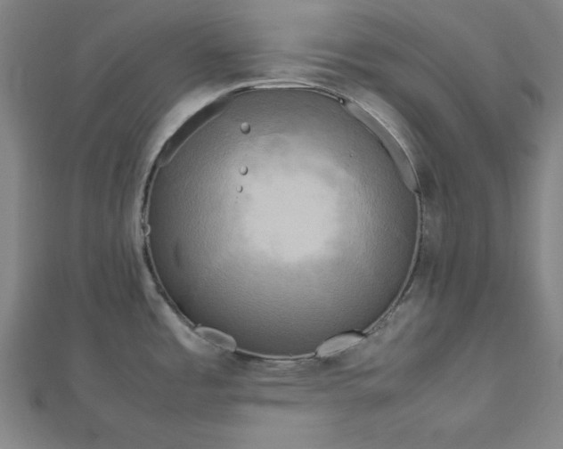 X0000112731485200909031434