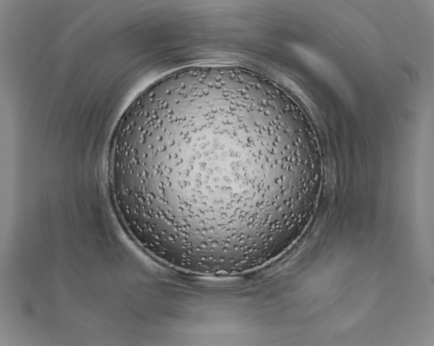 X0000112731487200909031434