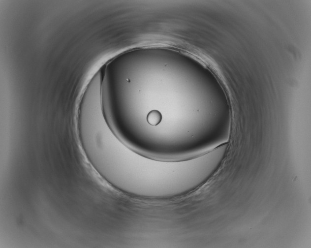 X0000112731488200909031434