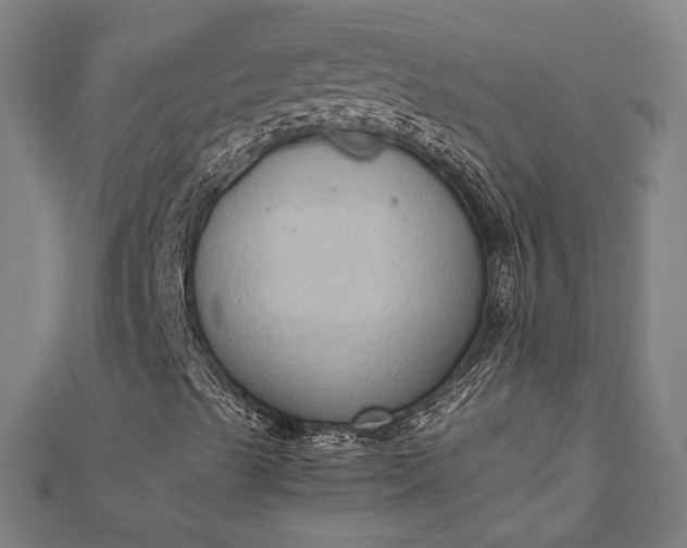 X0000112731489200909031433