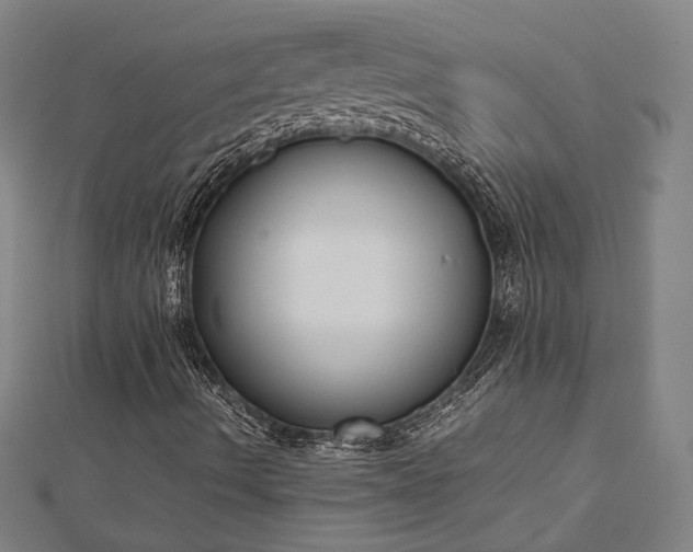 X0000112731490200909031433