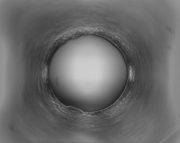 X0000112731492200909031433