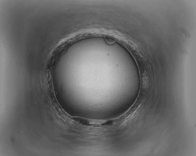 X0000112731494200909031433