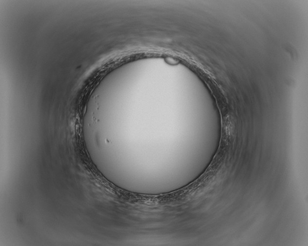 X0000112731495200909031433