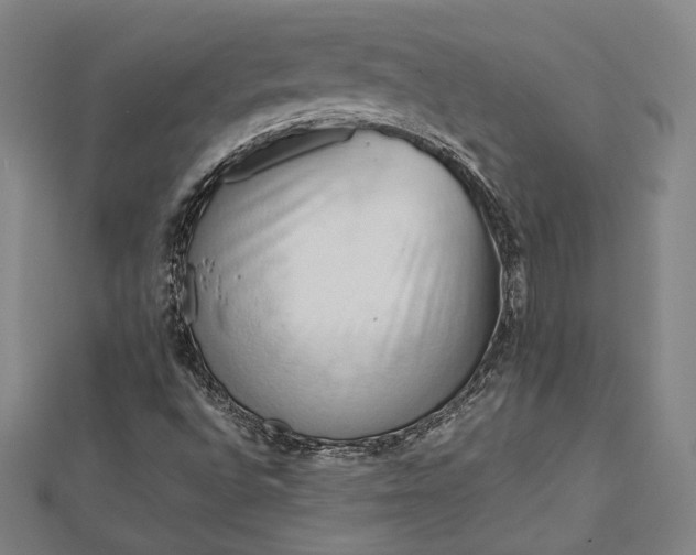 X0000112731496200909031433