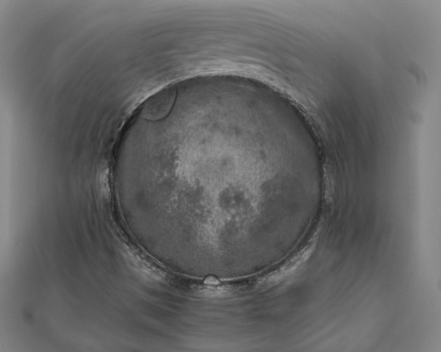 X0000112731497200909031433