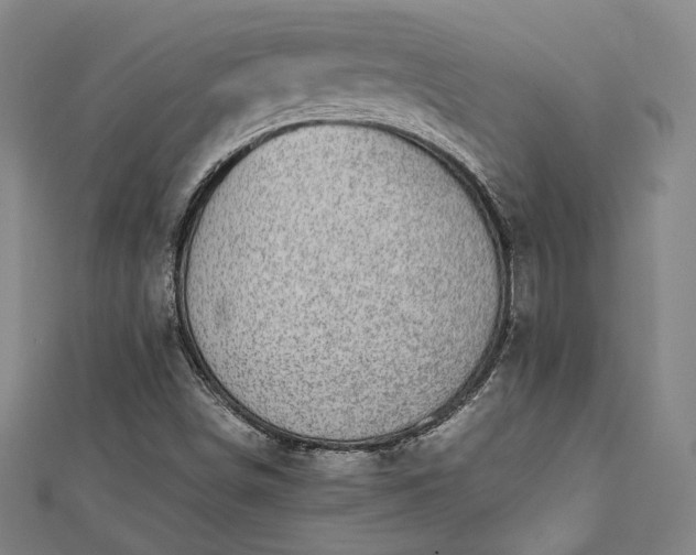 X0000112731498200909031433