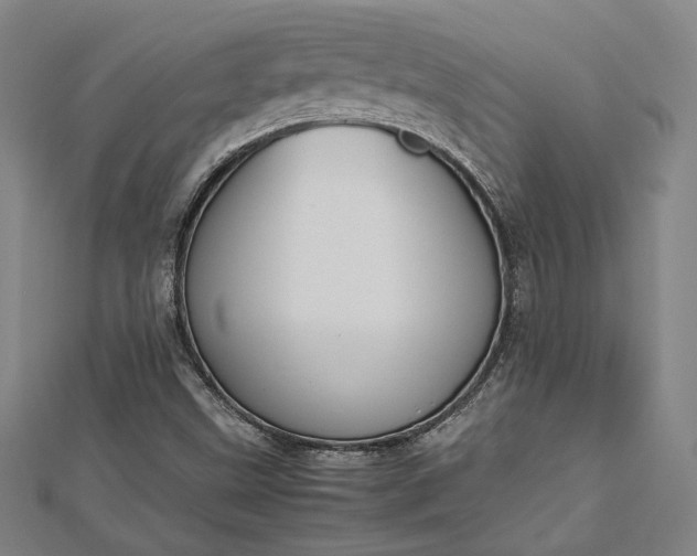 X0000112731499200909031433