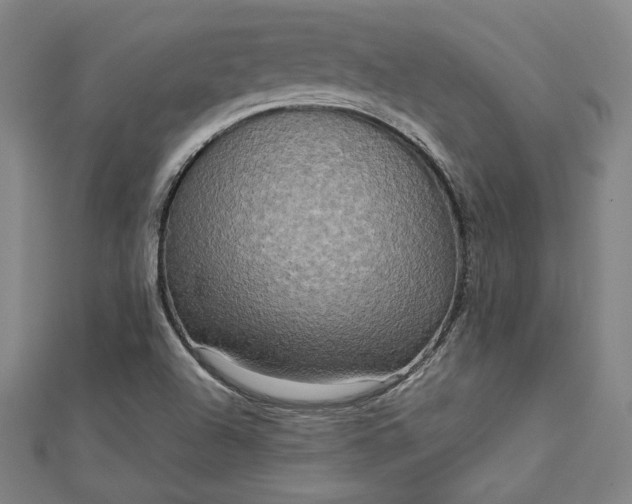 X0000112731504200909031433