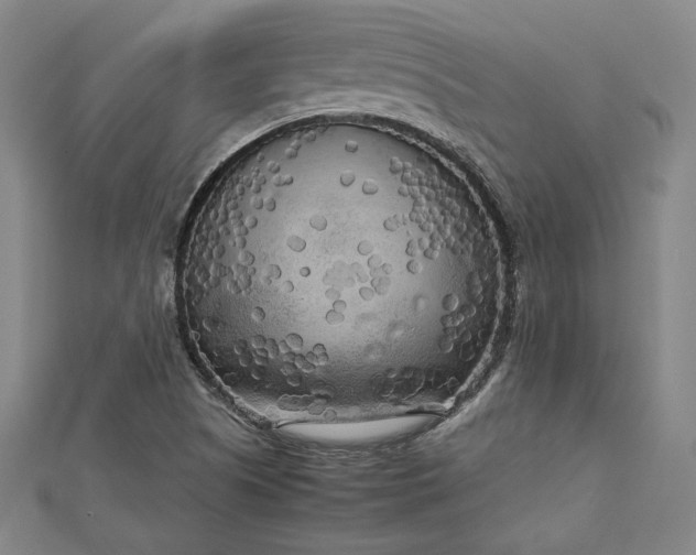 X0000112731505200909031433