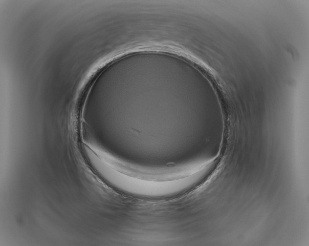 X0000112731506200909031433