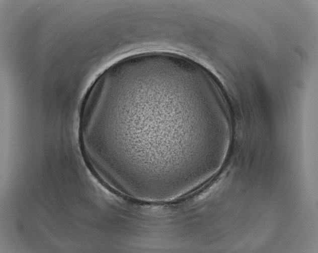 X0000112731508200909031433