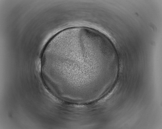 X0000112731509200909031433