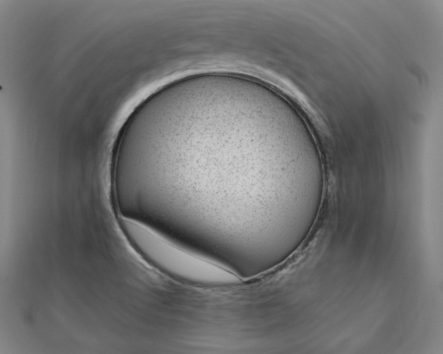 X0000112731512200909031433