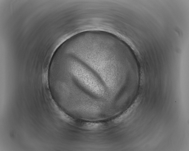 X0000112731513200909031433